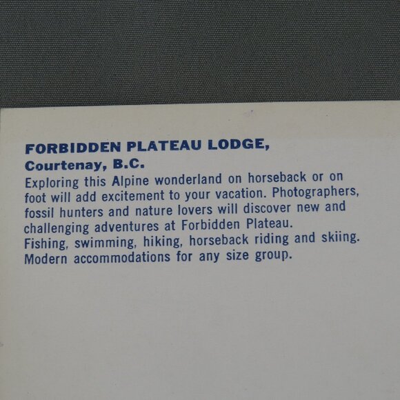 Vintage Postcard - Forbidden Plateau Lodge Courtenay BC - Traveltime - Picture 3 of 4